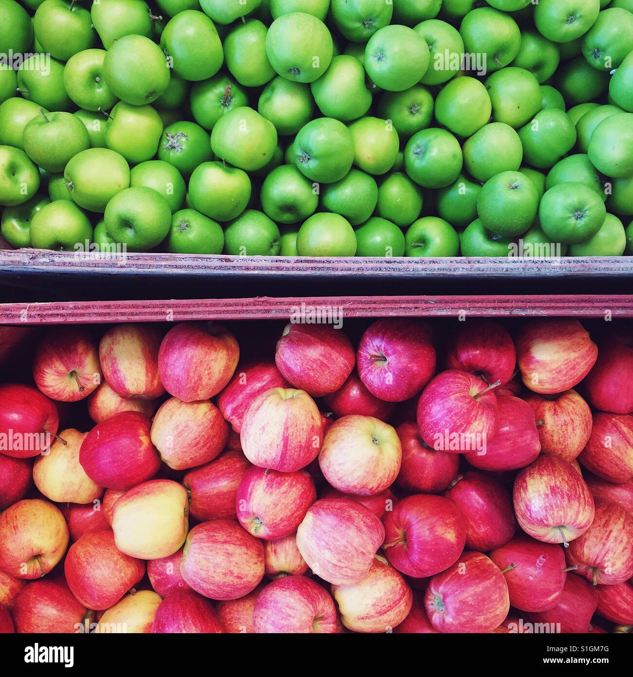 Fresh Organic Green Red Apple Varieties, Granny Smith, Fuji, Gal Stock  Image - Image of food, delicious: 113228363