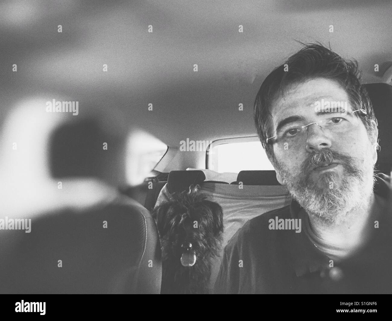 Yound adult caucasian man and dog inside a car suv - Smartphone Captured Stock Image