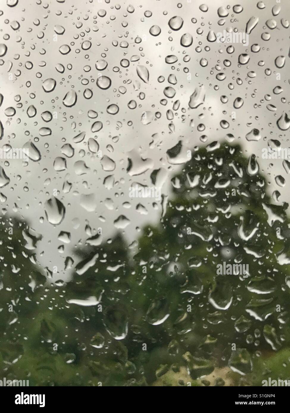 English summer - Smartphone Captured Stock Image