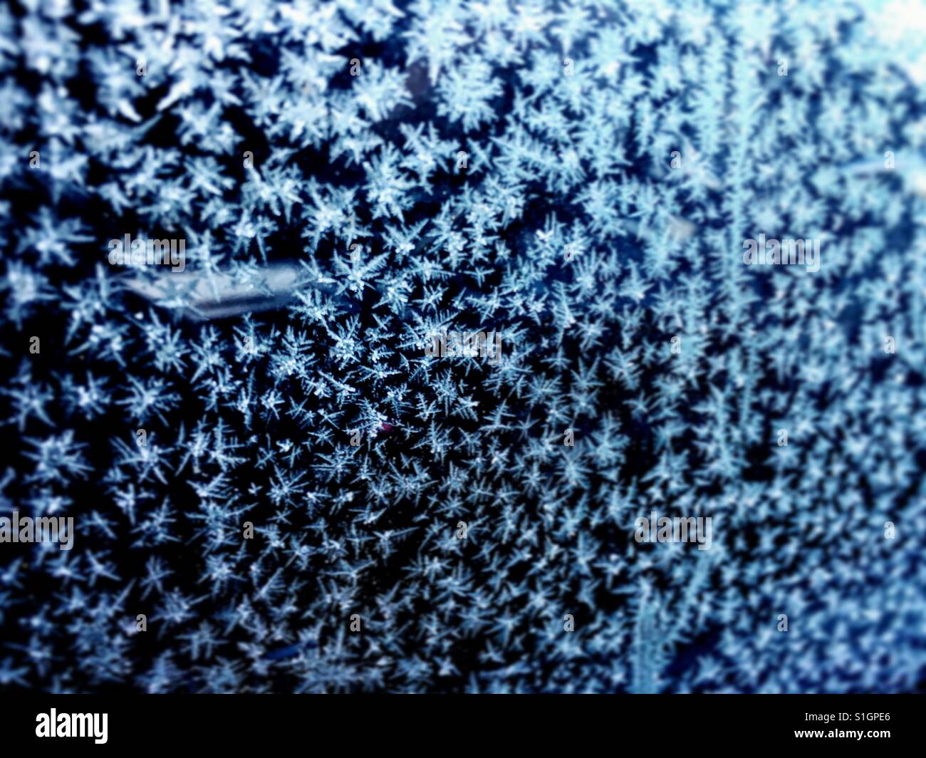 Pretty ice hi-res stock photography and images - Alamy