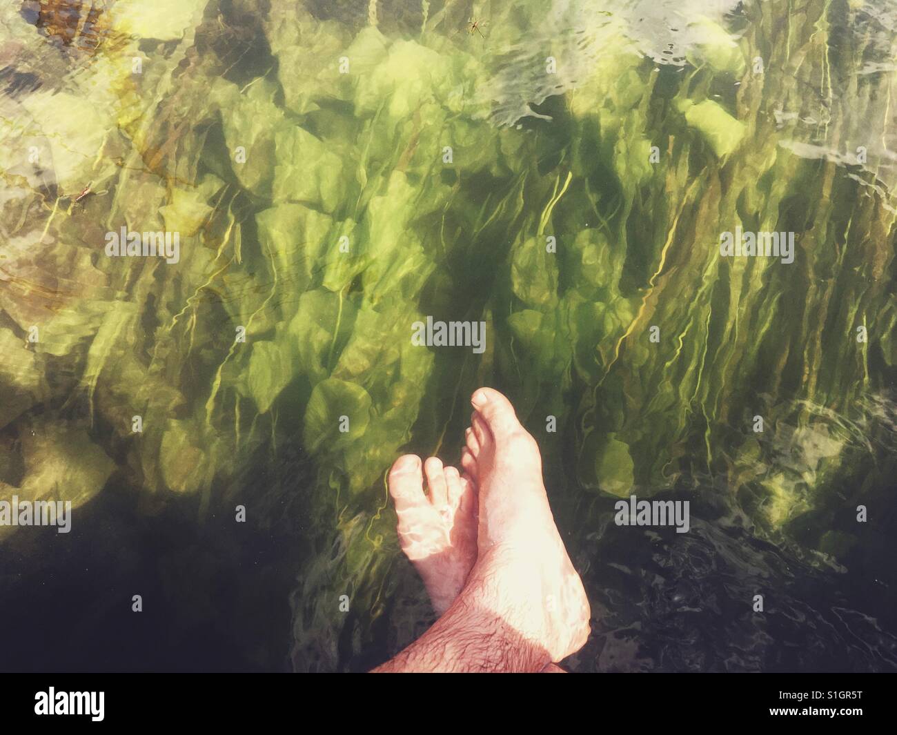 Male feet in the water with green water plants at the bottom Stock Photo