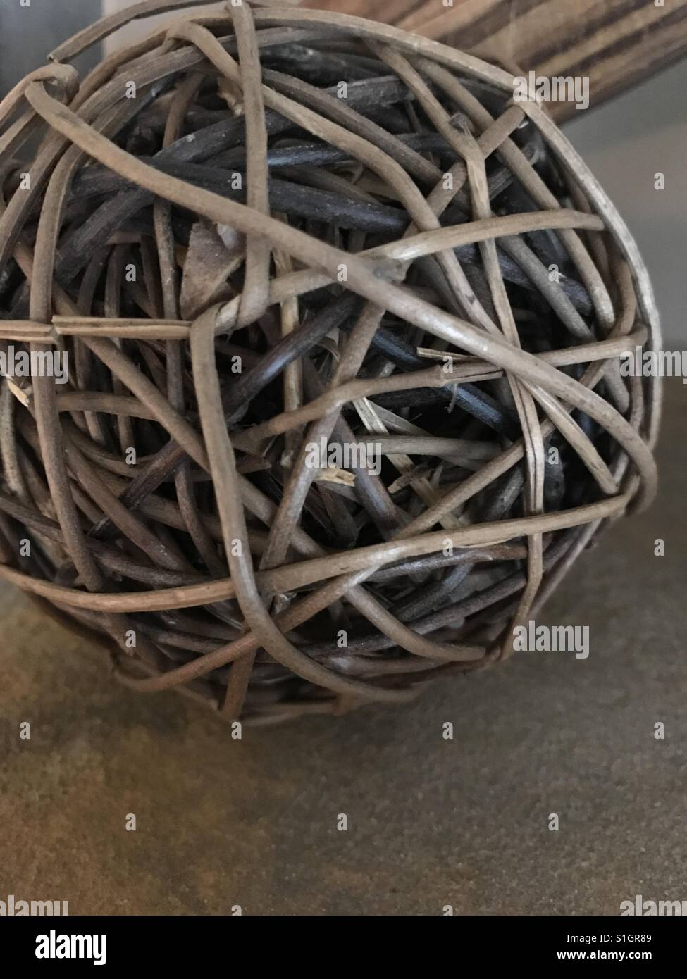 Intertwined nature hi res stock photography and images Alamy