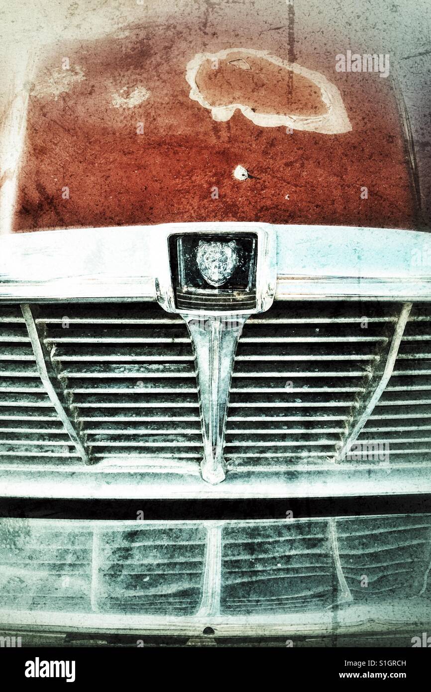 Vintage Jaguar badge detail Stock Photo