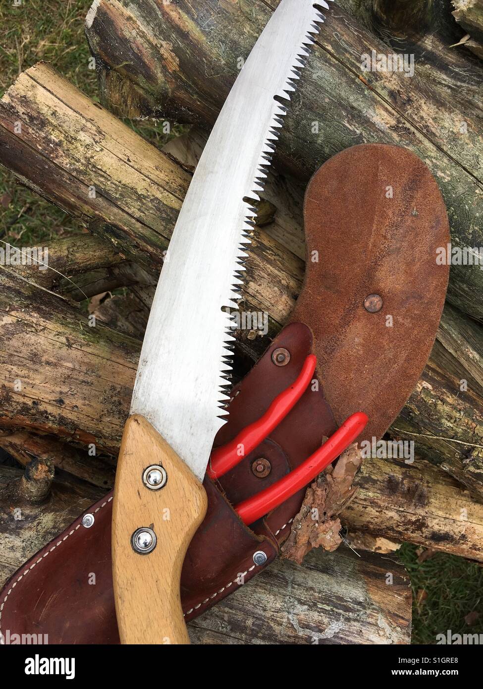 Pull saw on a pile of logs - Smartphone Captured Stock Image