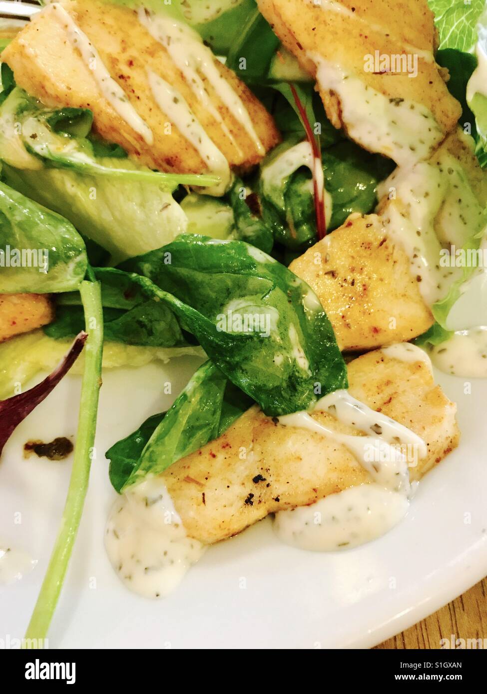 Healthy chicken salad Stock Photo - Alamy