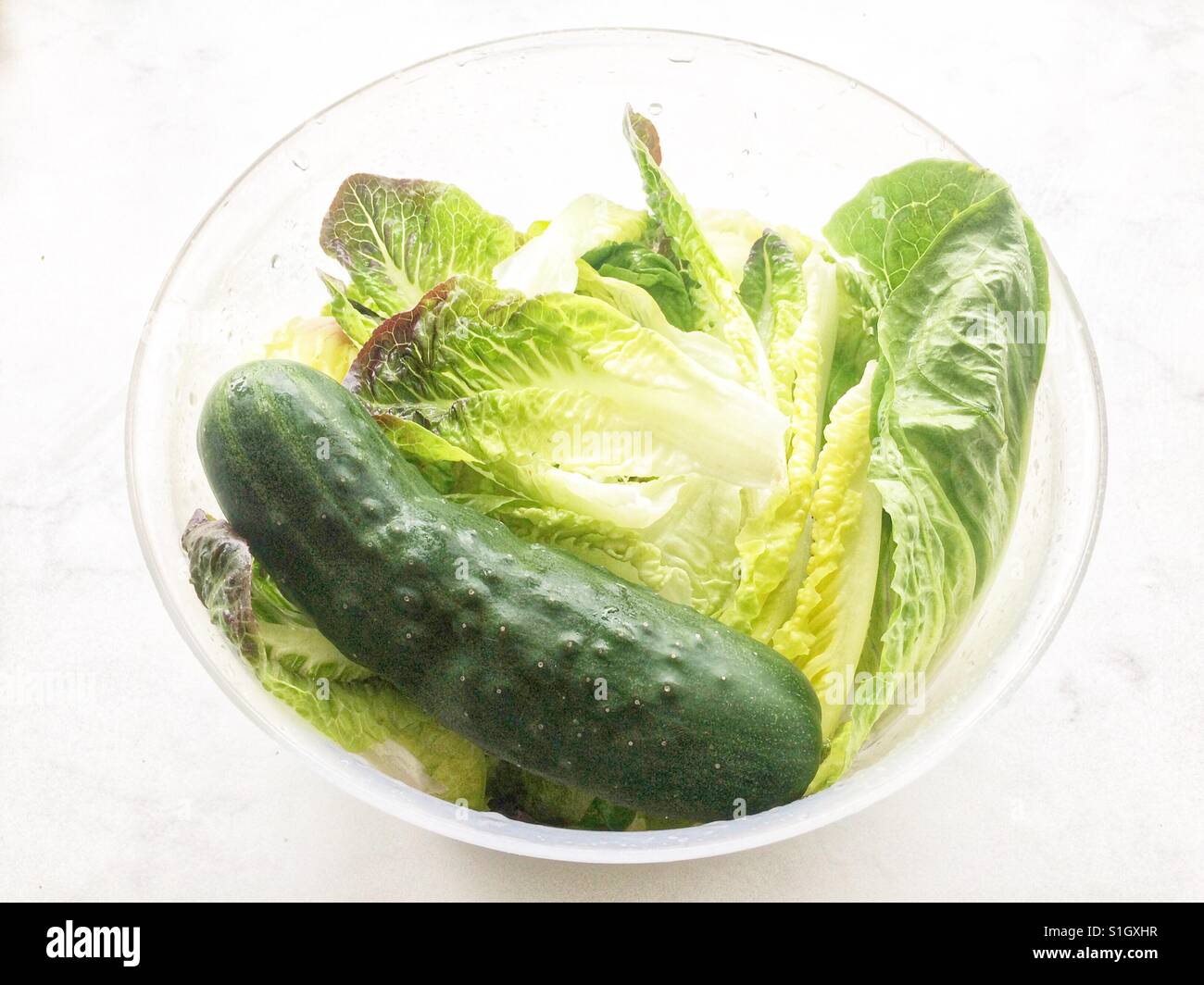 Cucumber and lettuce in a bowl. - Smartphone Captured Stock Image