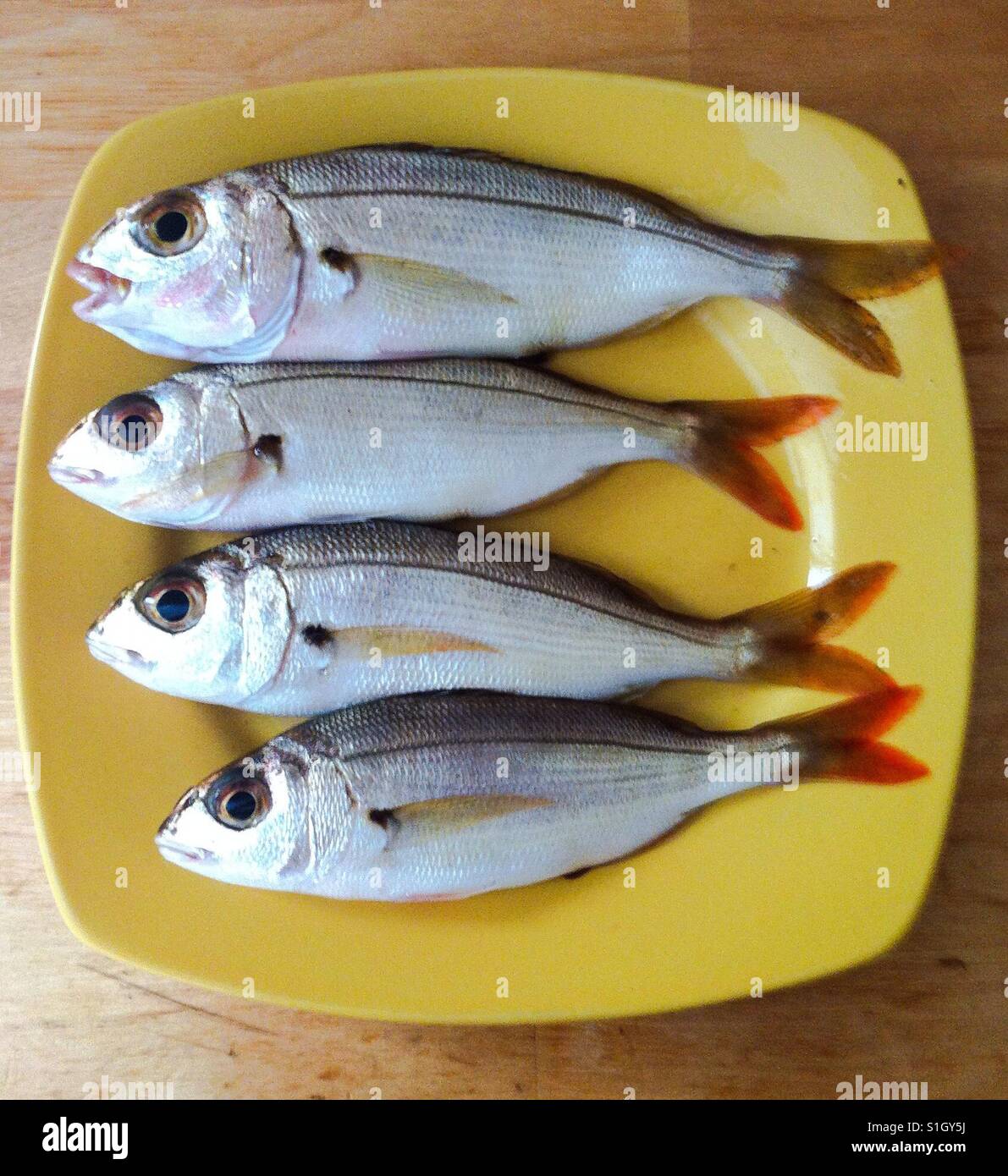 Fresh fish - Smartphone Captured Stock Image