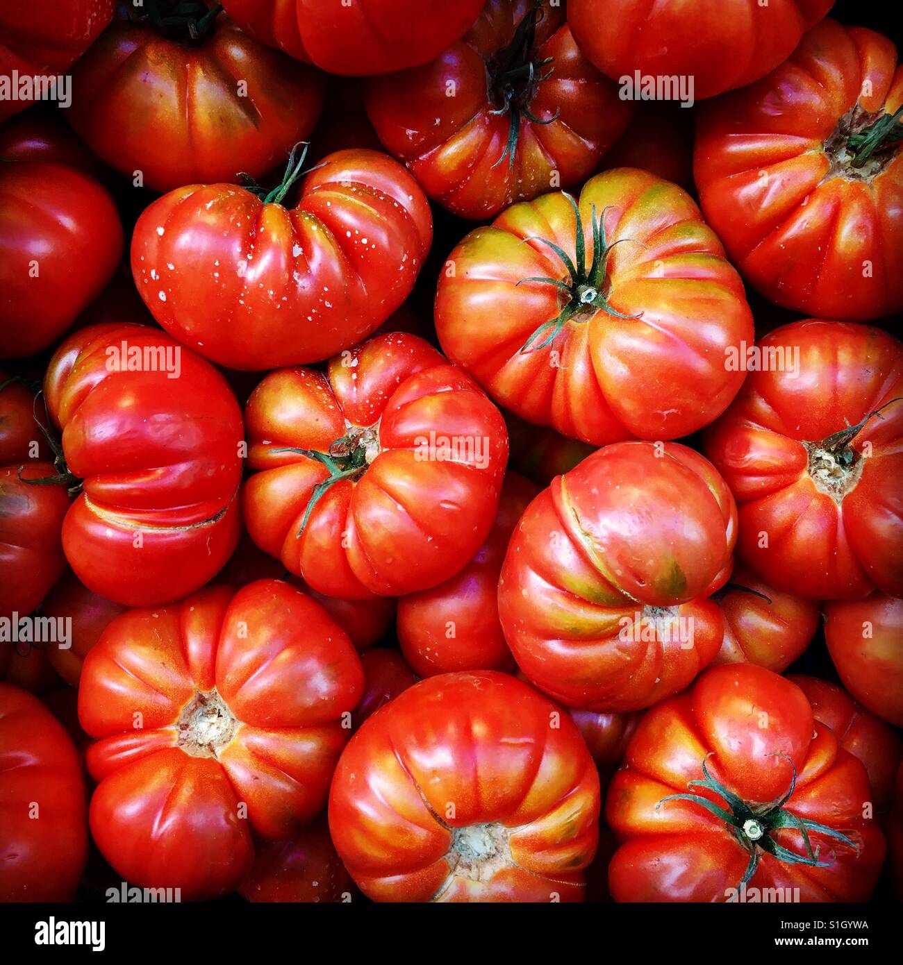 Fresh tomatoes for sale a fresh food market Stock Photo - Alamy