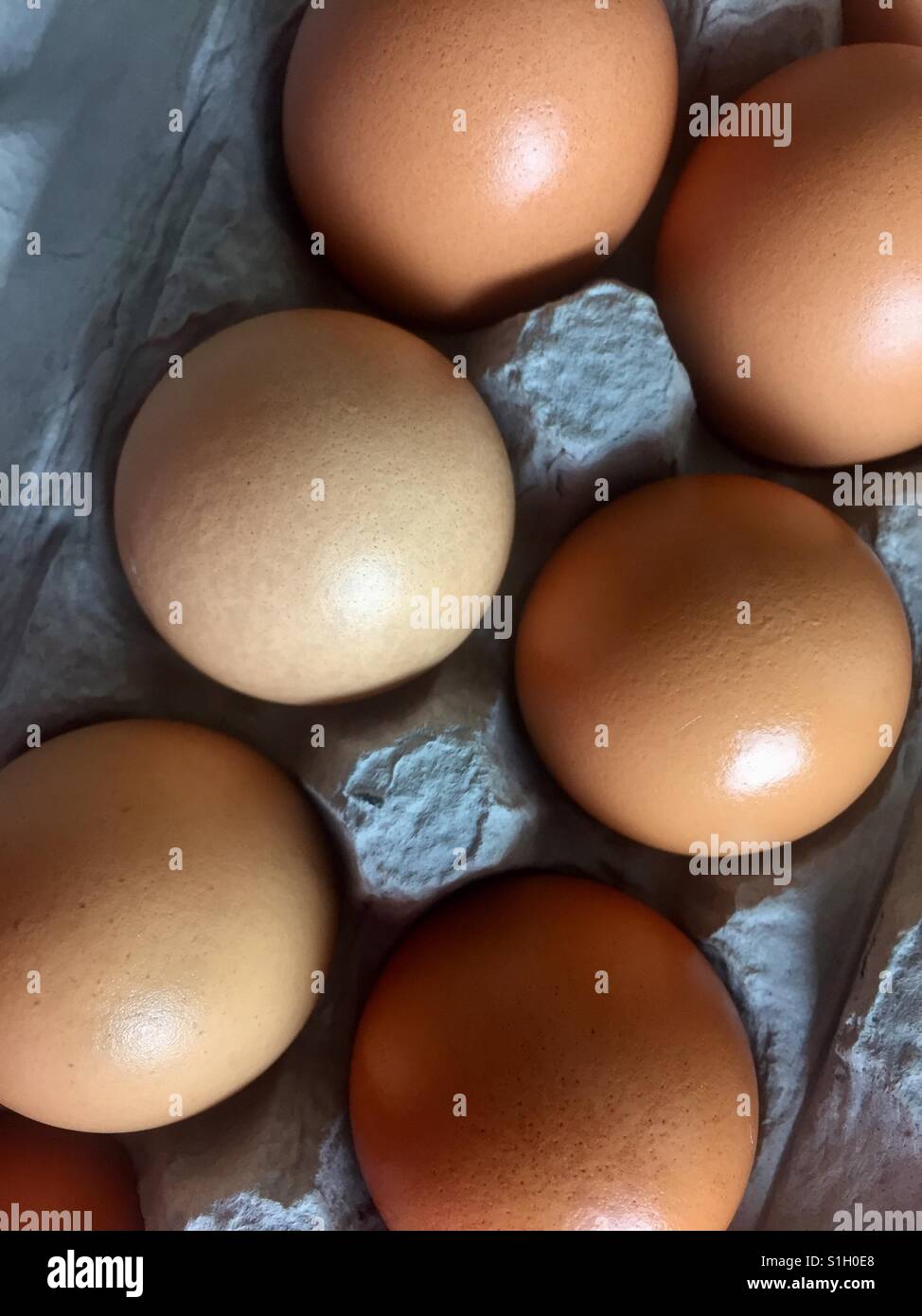 Free range brown eggs in carton Stock Photo