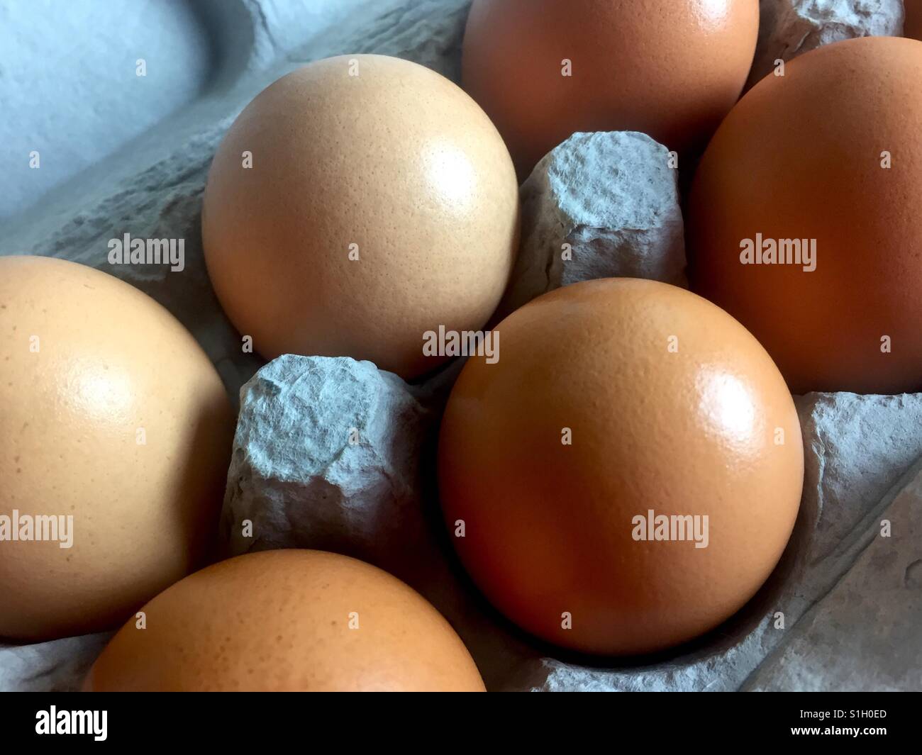 Free range brown eggs in carton - Smartphone Captured Stock Image