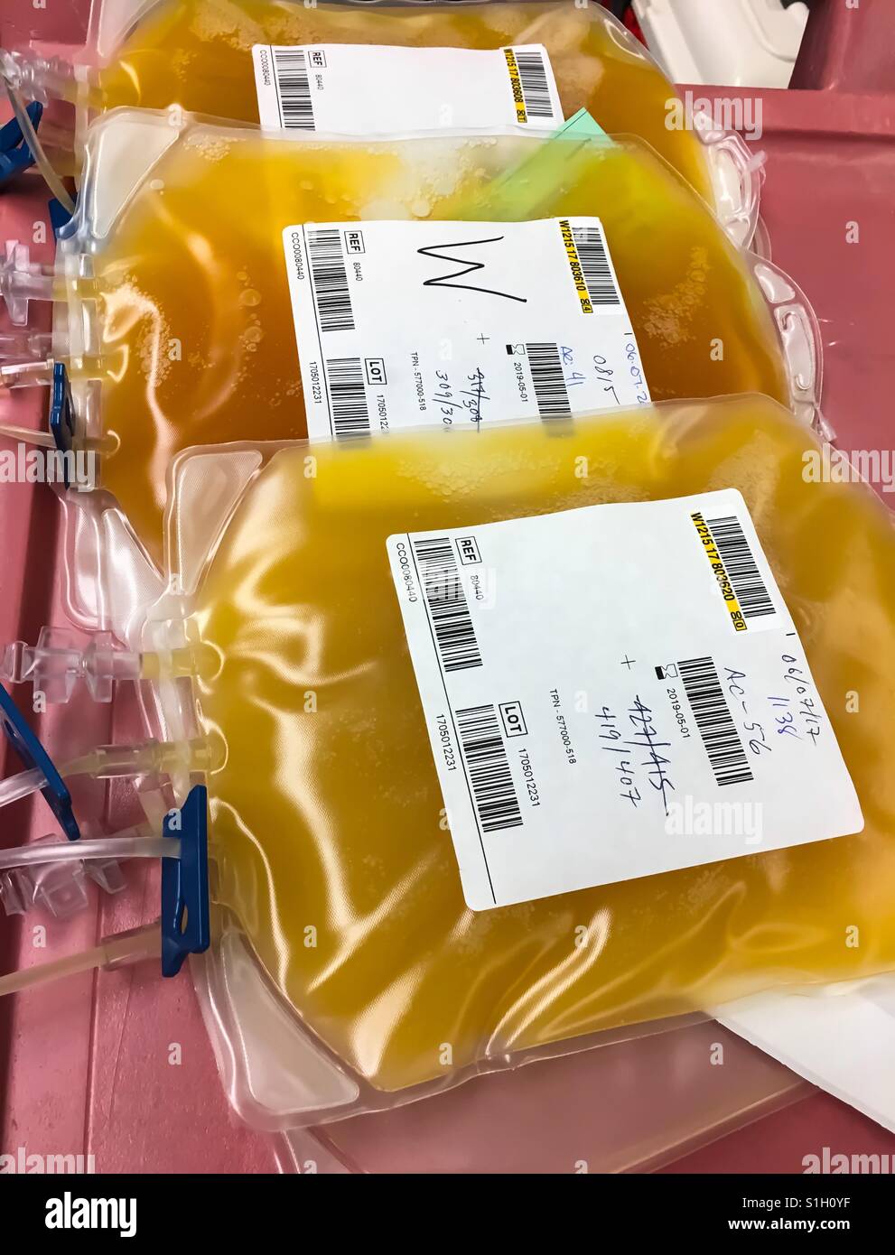 Bags of platelet donations Stock Photo Alamy