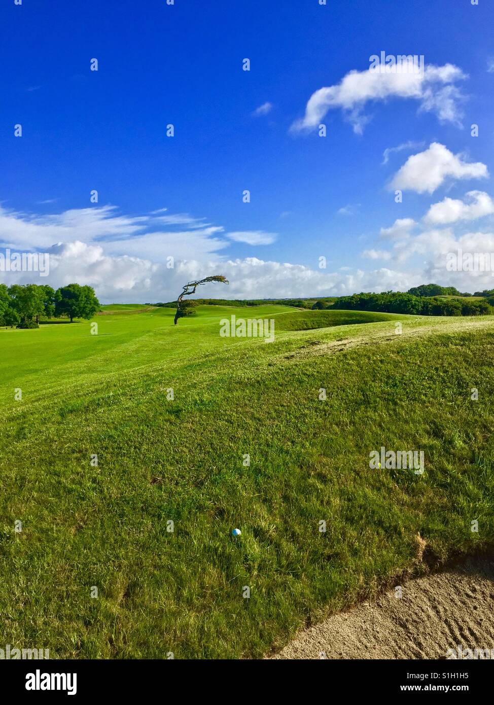 Luck in the wind - Golf Ireland - Smartphone Captured Stock Image Luck in the wind - Golf Ireland - Smartphone Captured Stock Image