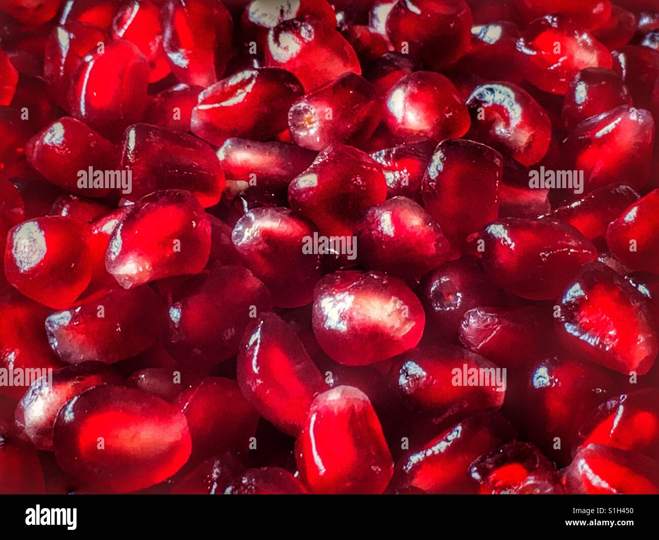 Pomegranate arils (seeds), Punica granatum - Smartphone Captured Stock Image