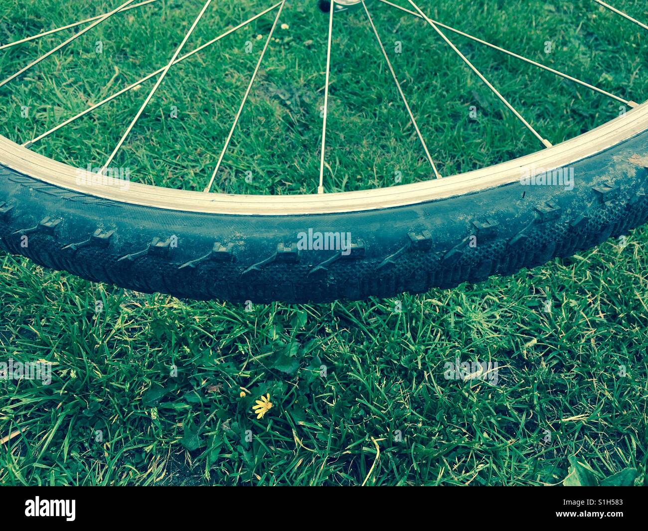 Bicycle wheel - Smartphone Captured Stock Image