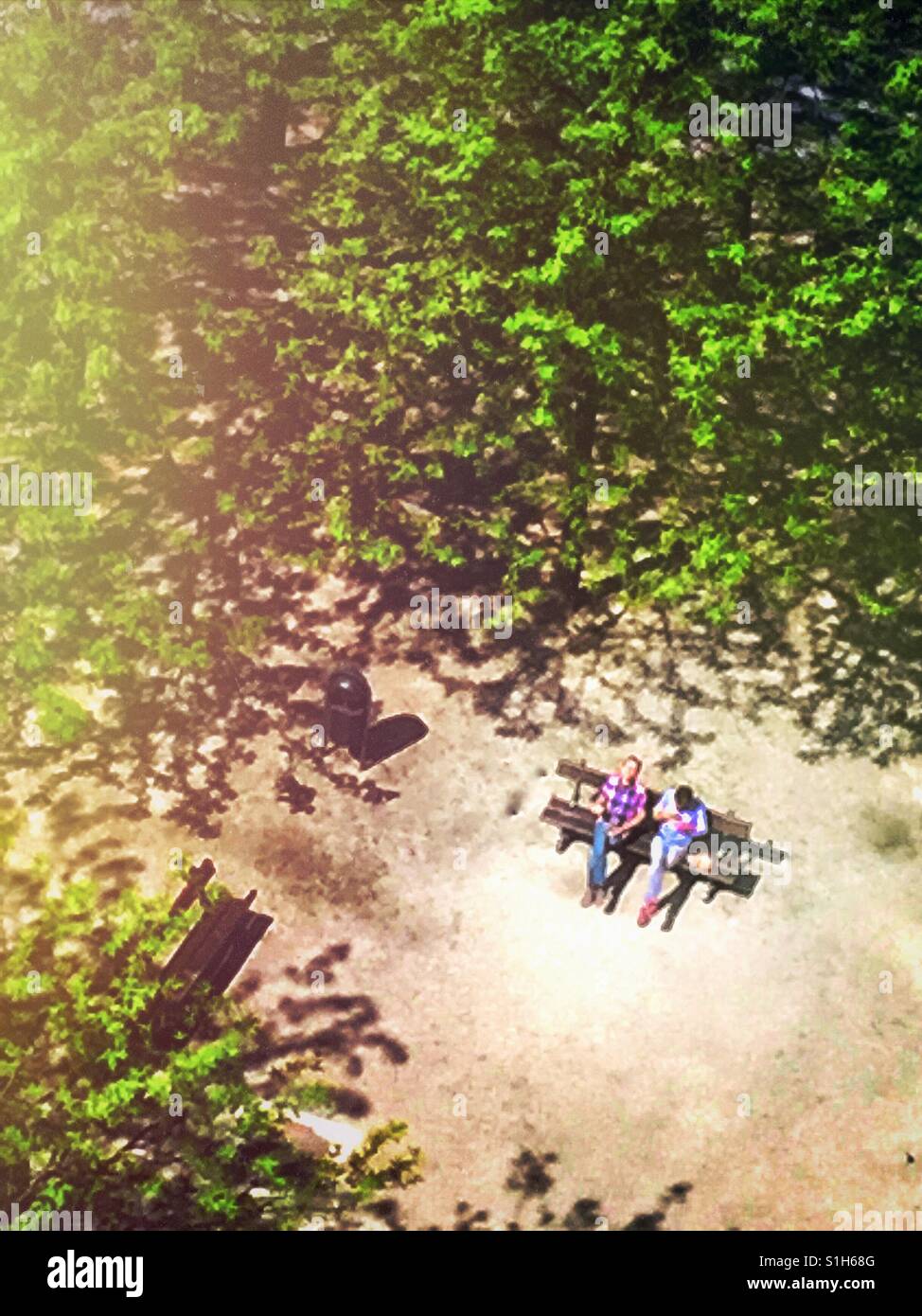 Taking the sun in the park - Smartphone Captured Stock Image