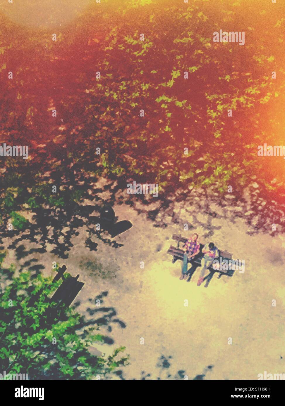 Taking the sun in the park - Smartphone Captured Stock Image