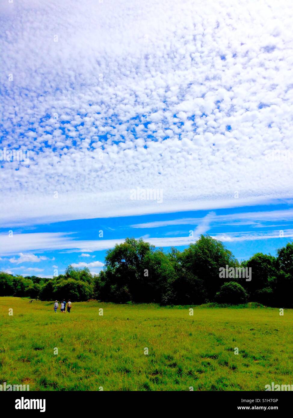 Walking on a sunny day with dramatic cloudscape - Smartphone Captured Stock Image