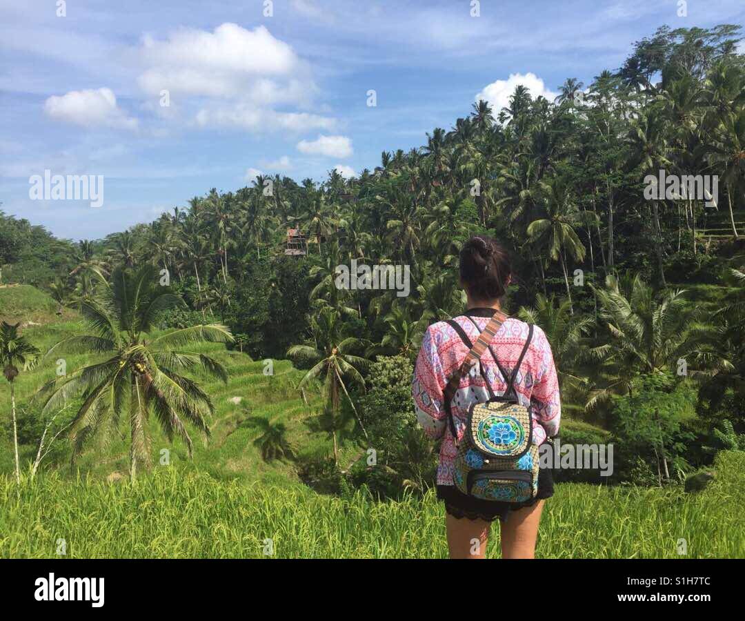 Exploring rice paddy fields Stock Photo - Alamy