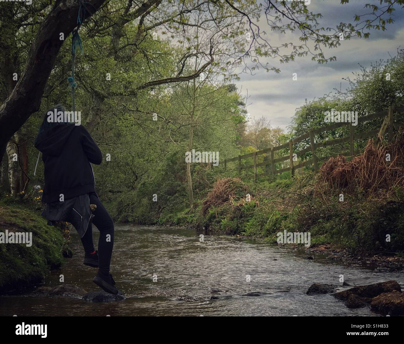 Rope swing in the new forest hires stock photography and images Alamy