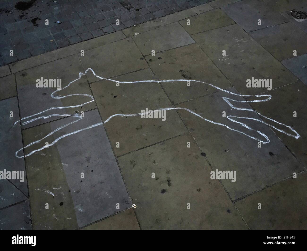 The outline of a dog in white paint on a pavement advertises a stage production of Mark Haddon's novel 'The Curious Incident of the Dog in the Night-Time' at the Hippodrome theatre in Bristol, UK Stock Photo