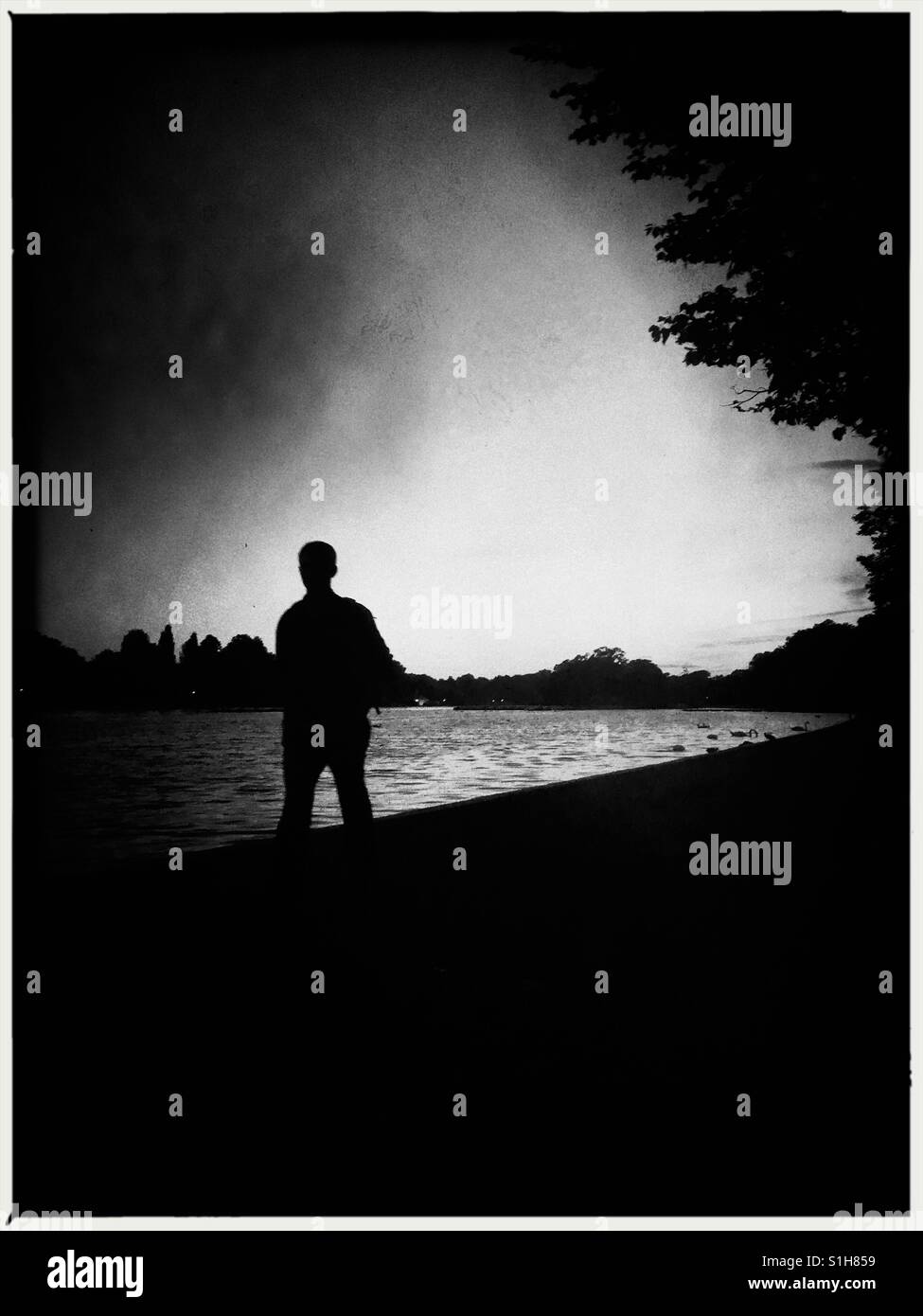 Silhouette of a man walking by serpentine in Hyde park London Stock Photo