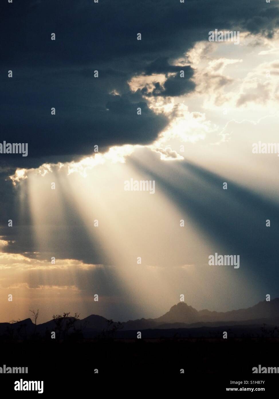 Sun rays Stock Photo