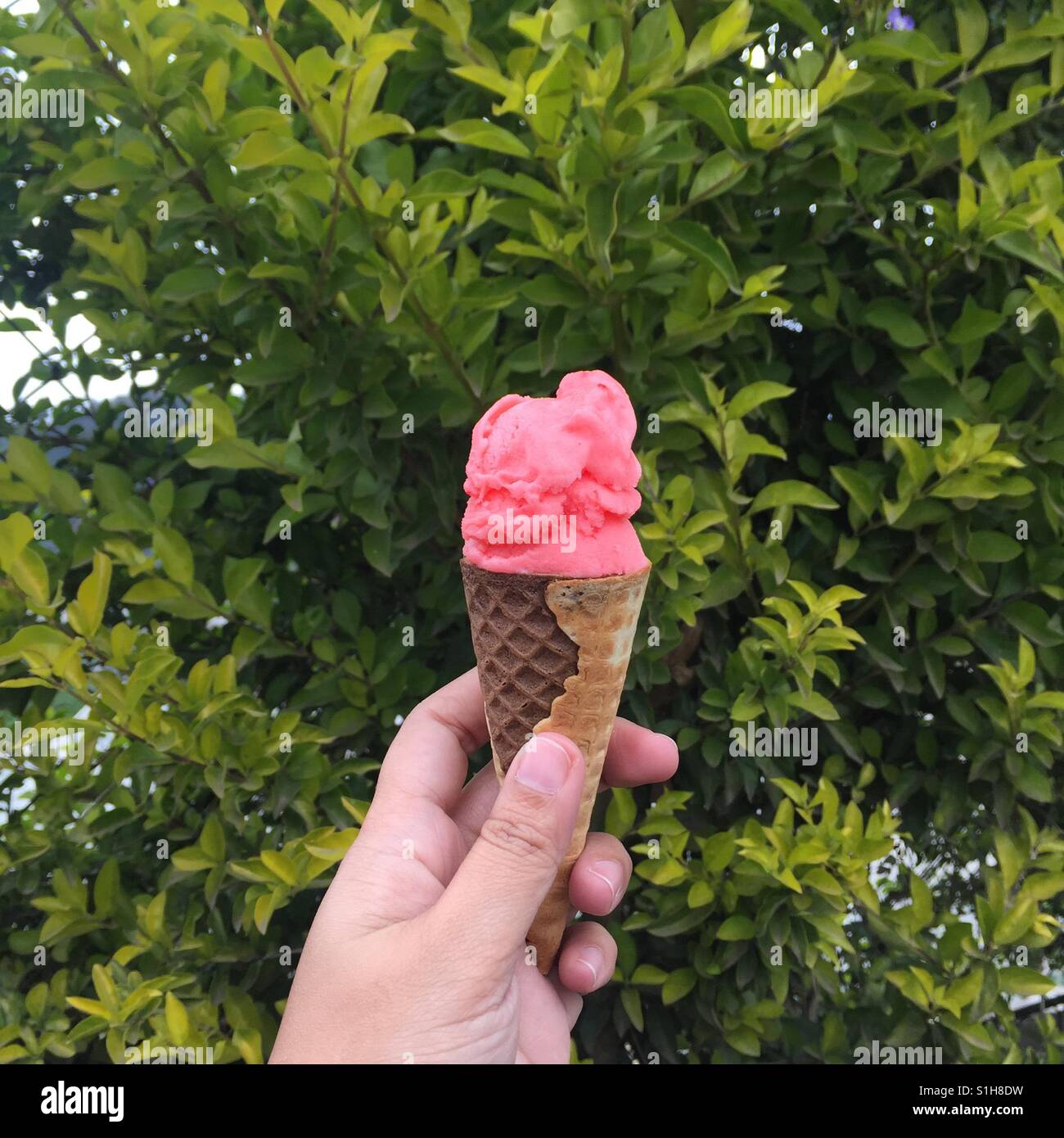 the tastiest strawberry ice cream i ever tried, found in baguio city