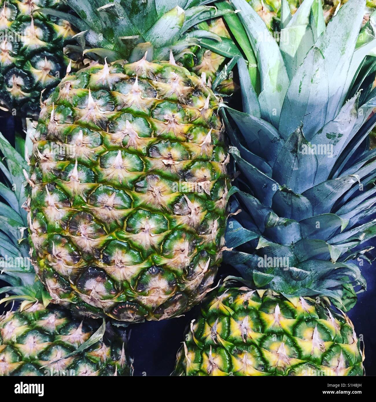 Fresh pineapples by K.R. Stock Photo