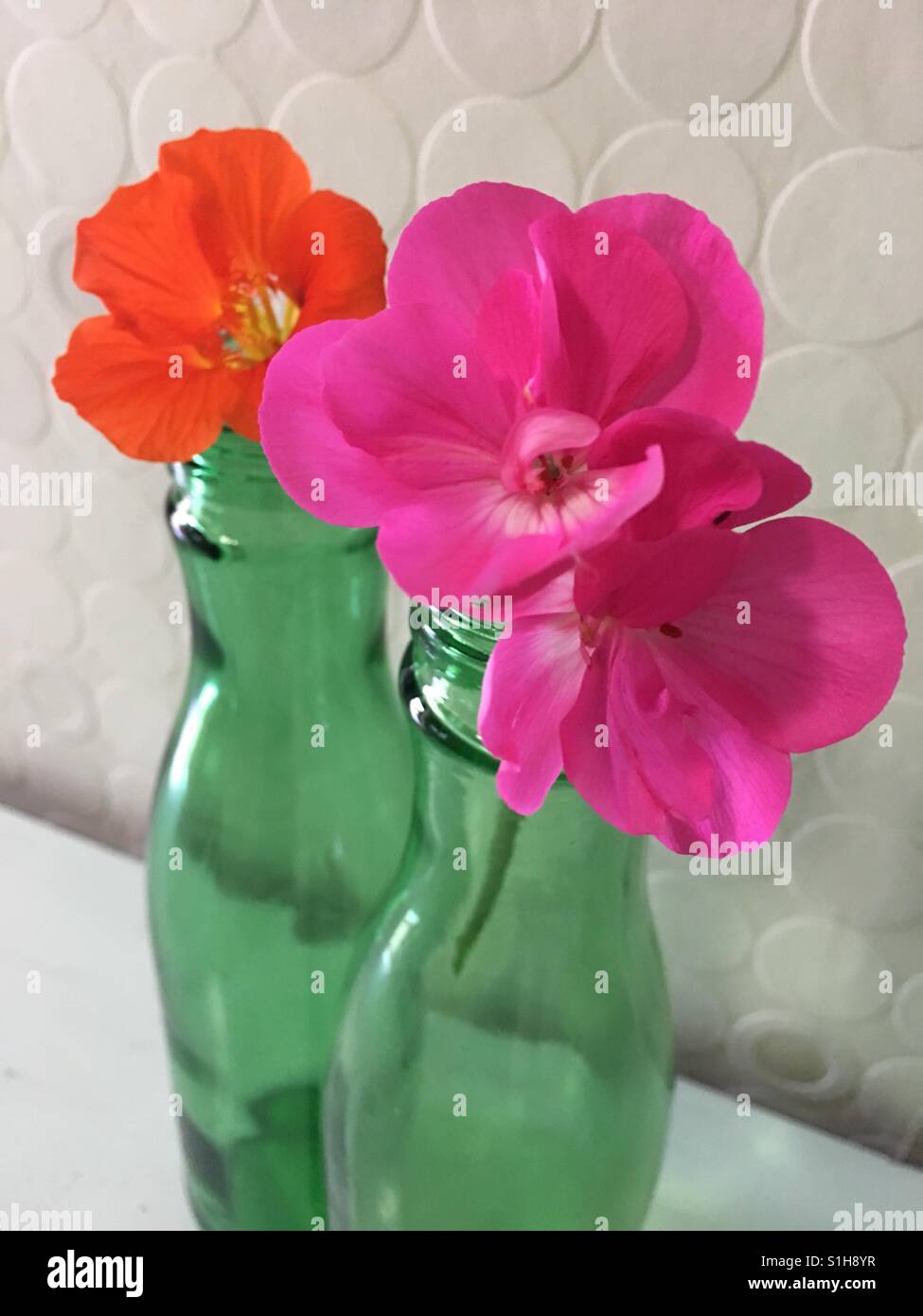 Bright coloured flowers hi-res stock photography and images - Alamy