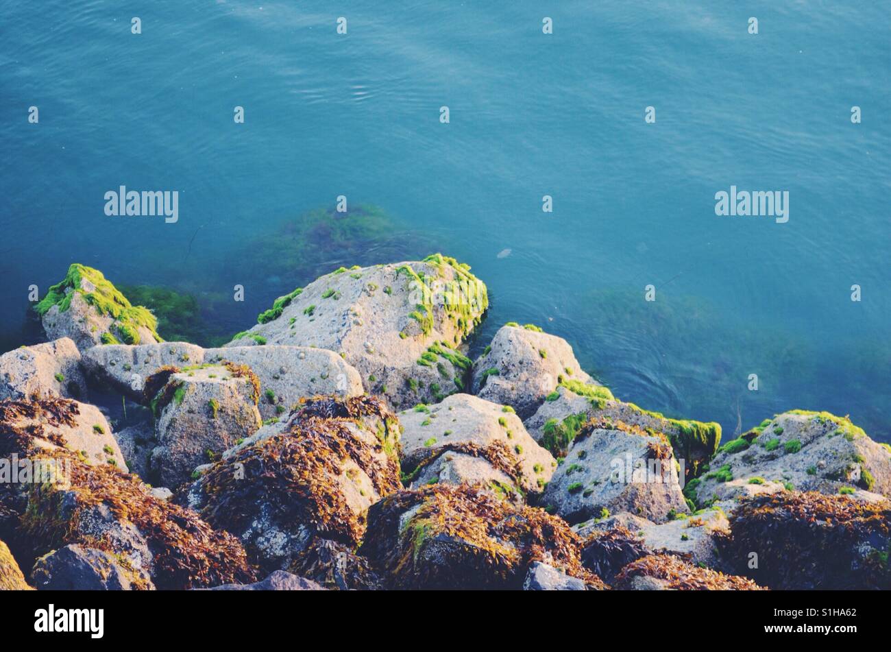 Waters edge Stock Photo Alamy