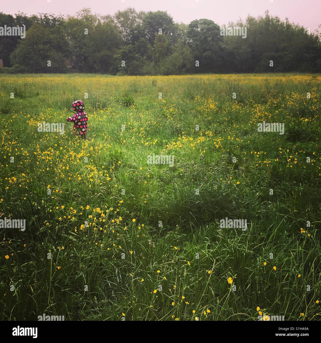 My Image 24
