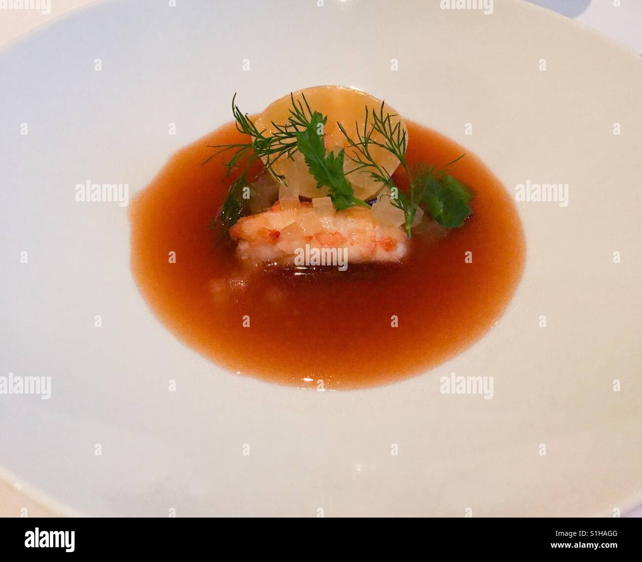 Langoustine in a consommé Stock Photo