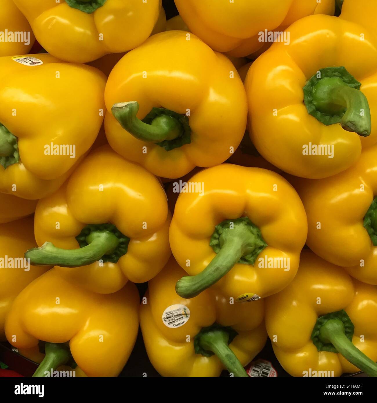 Stacked yellow peppers in produce section Stock Photo Alamy