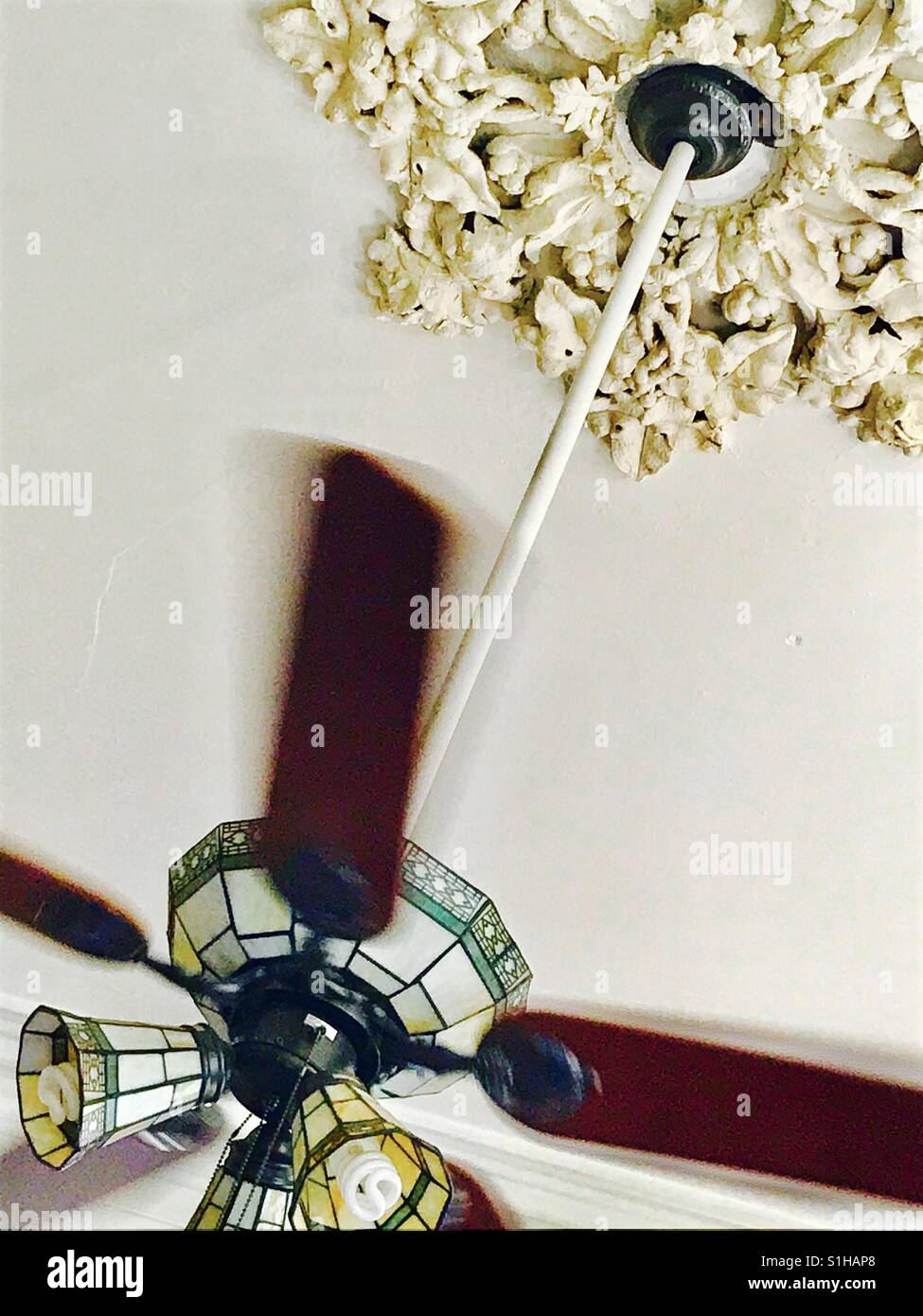 Ceiling Fan And Medallion Stock Photo 310782928 Alamy