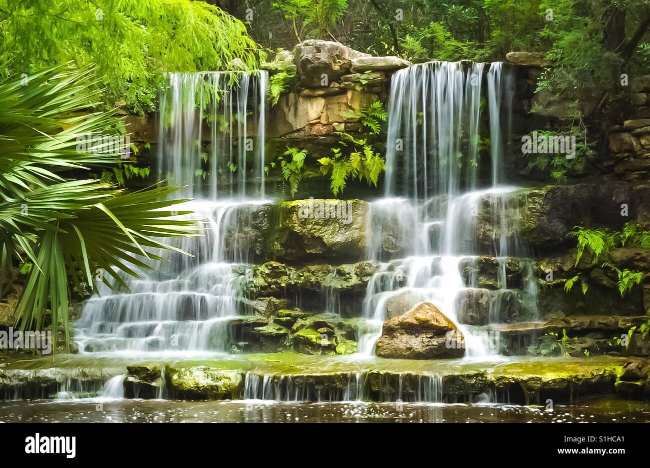 A waterfall in the Prehistoric Park at Zilker Botanical Garden in
