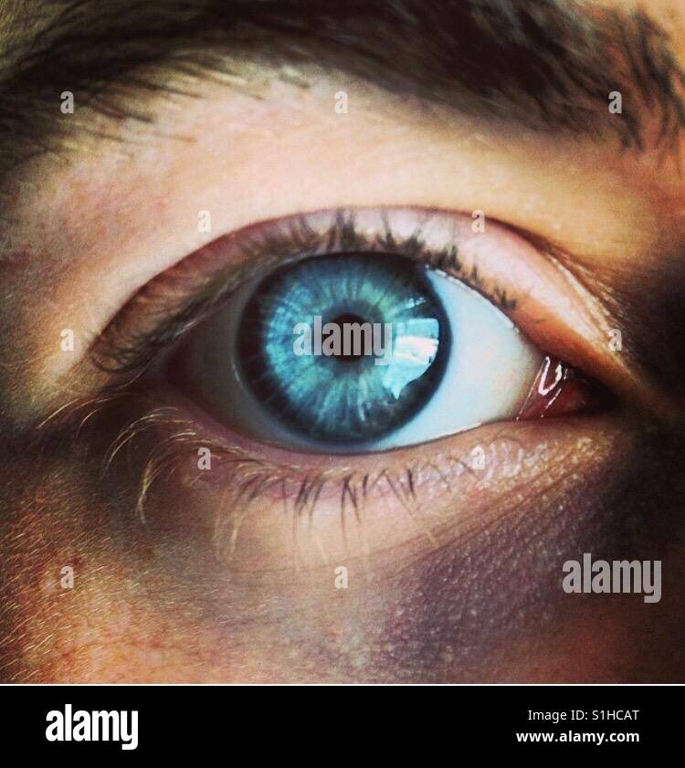 Deep blue eye hires stock photography and images Alamy