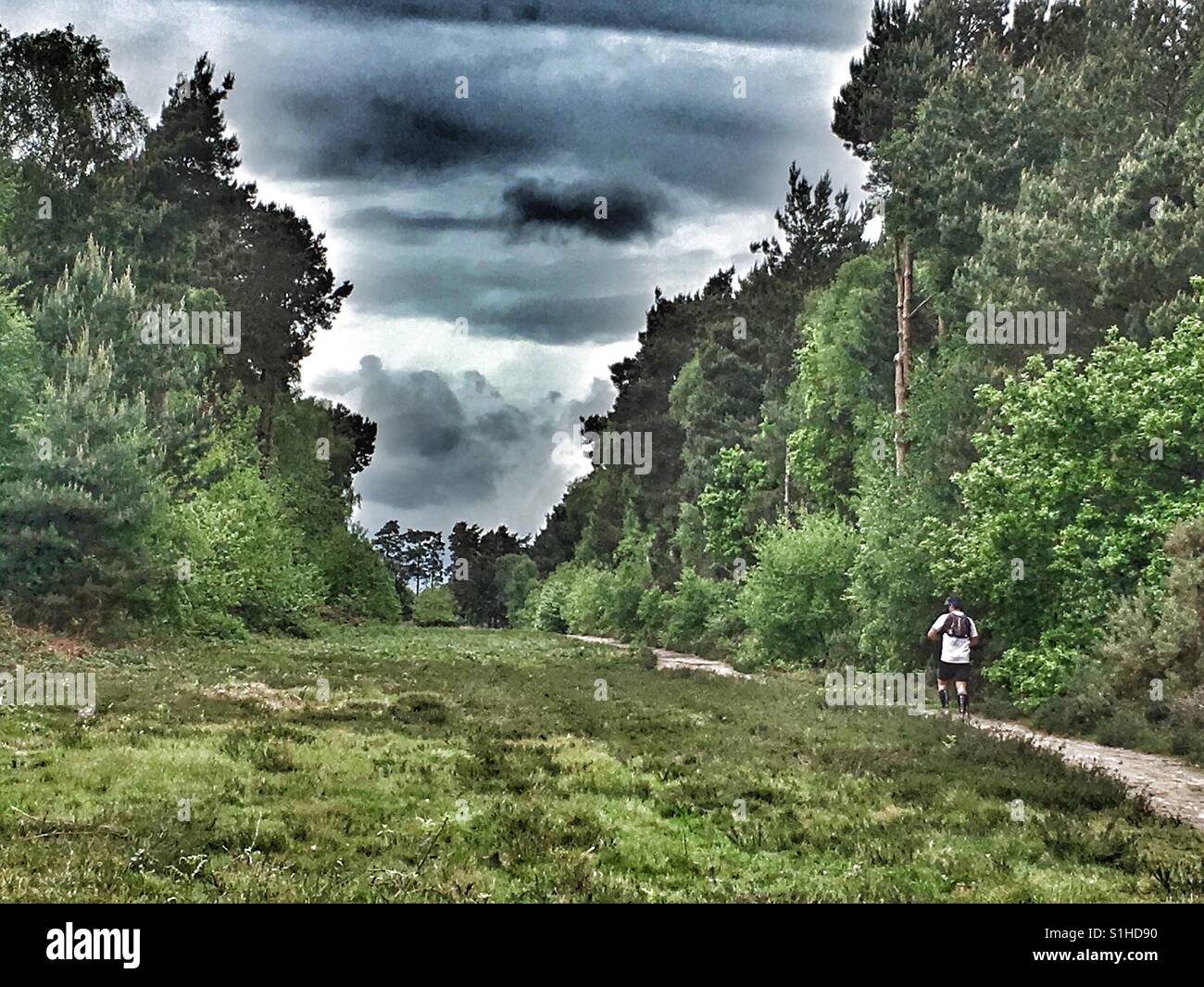 Cross country runner Sutton Suffolk UK - Smartphone Captured Stock Image