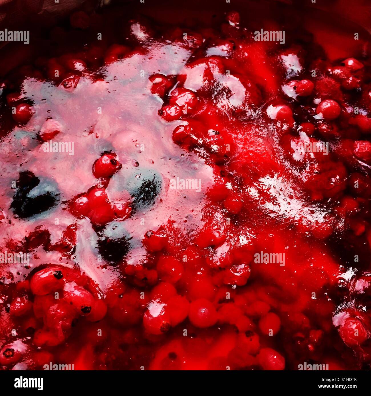 Vegan red jelly berries birthday cake topping Stock Photo Alamy