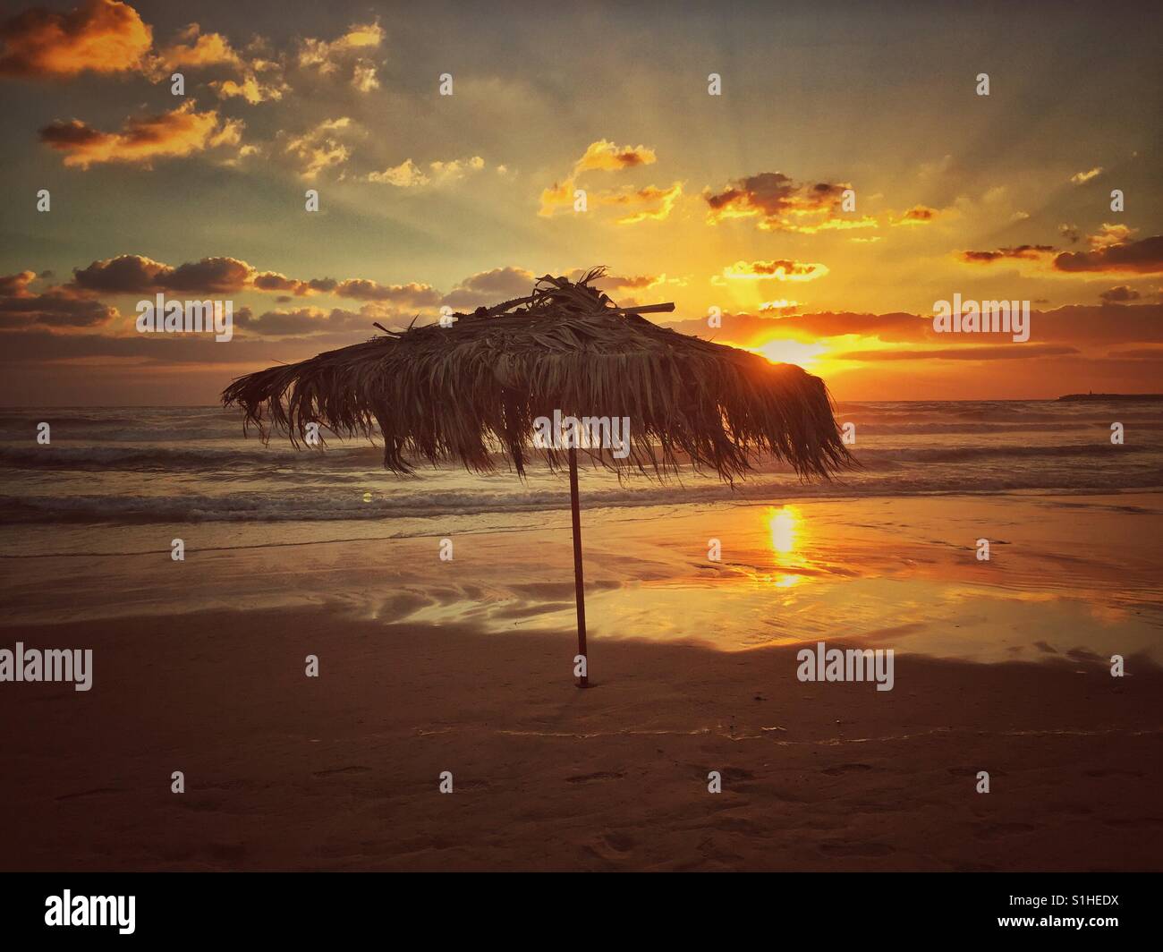 Beach umbrella at sunset beirut lebanon - Smartphone Captured Stock Image