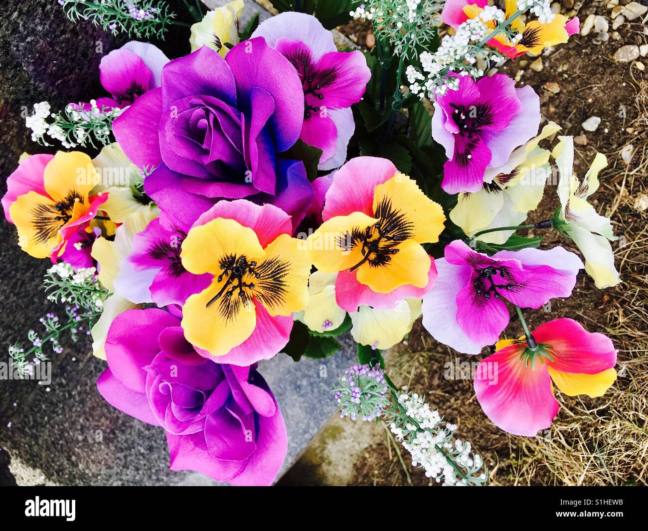 Purple roses and yellow pansies Stock Photo
