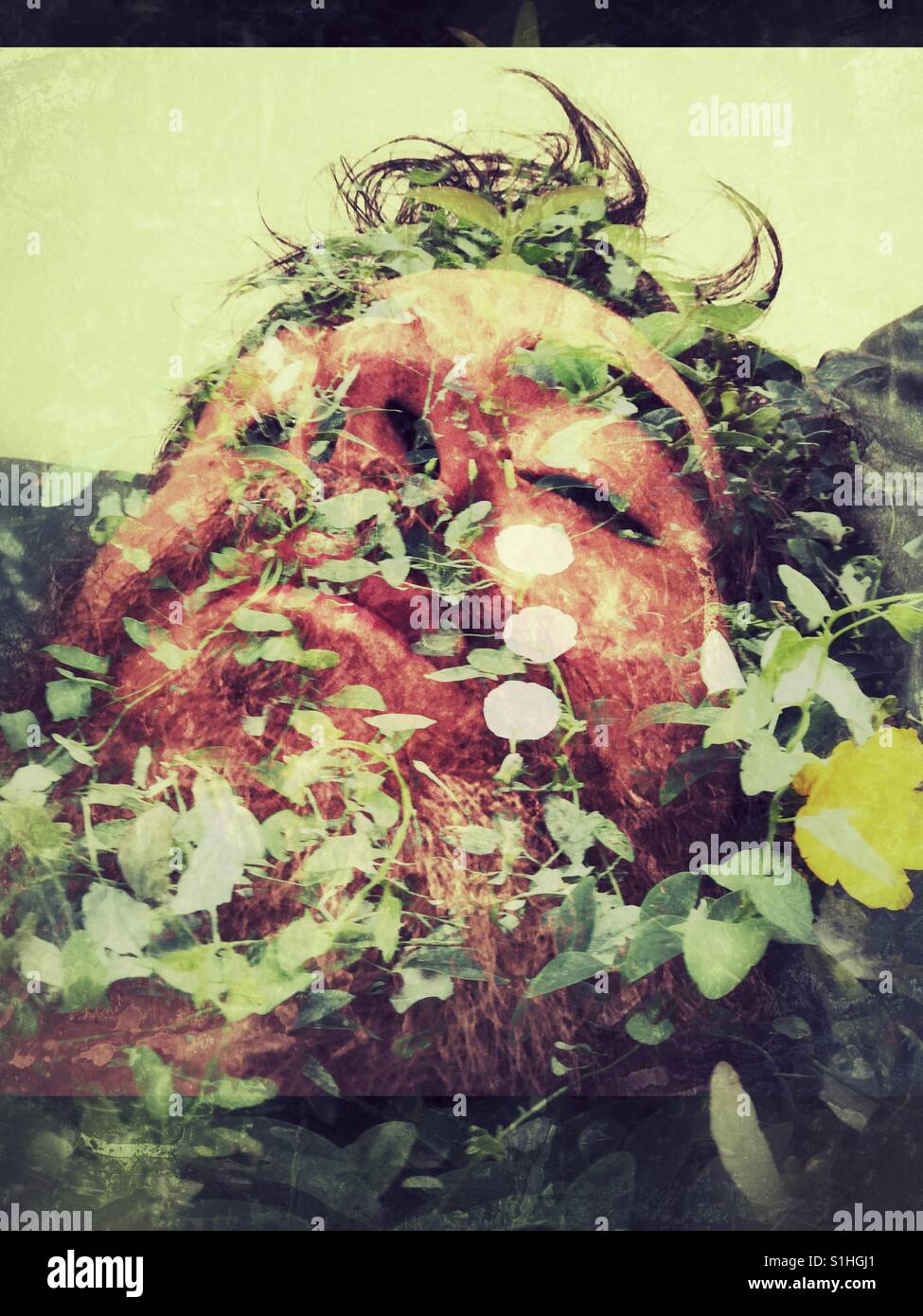 Steady growth - Smartphone Captured Stock Image