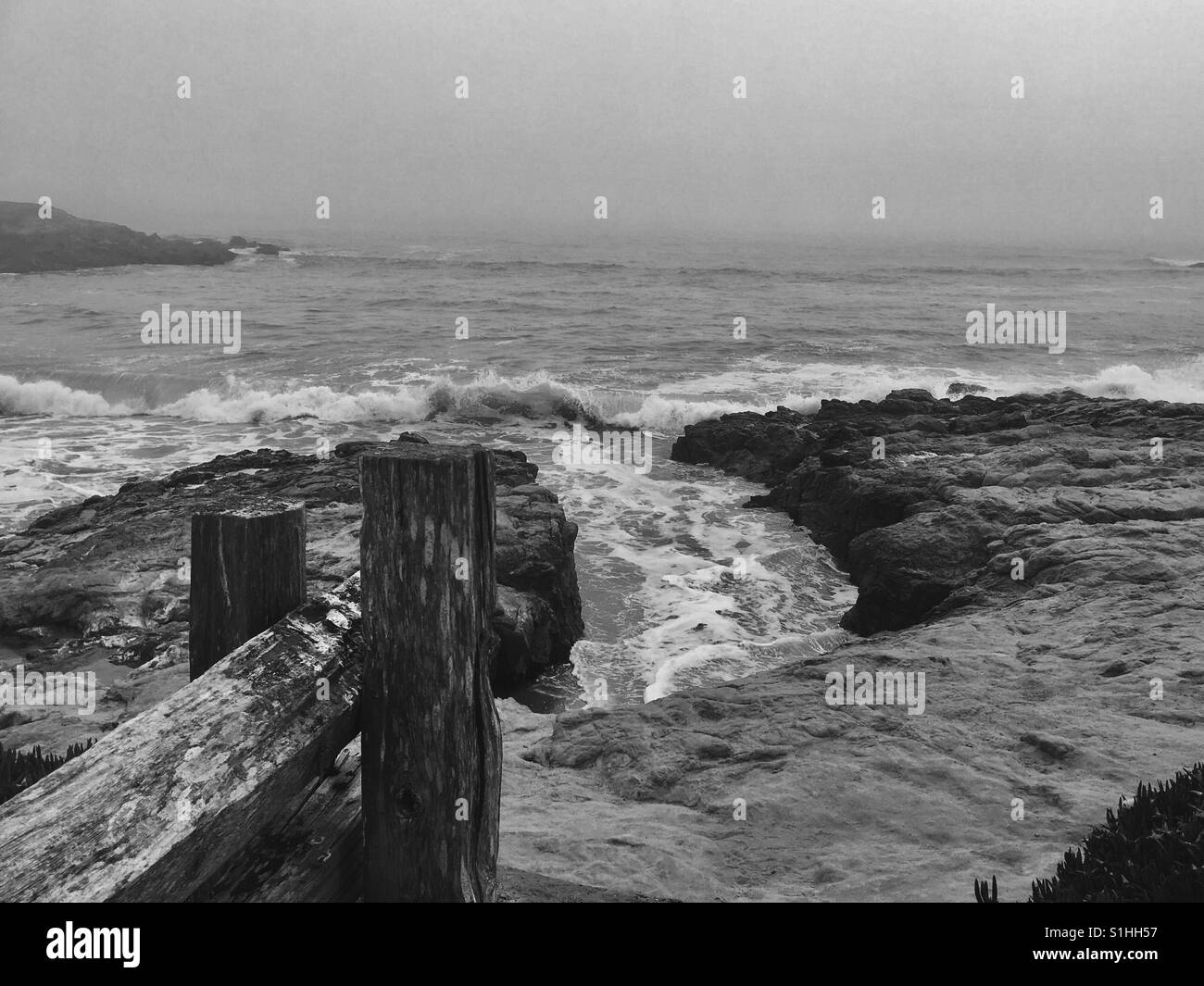 Bean Hollow, California Stock Photo Alamy