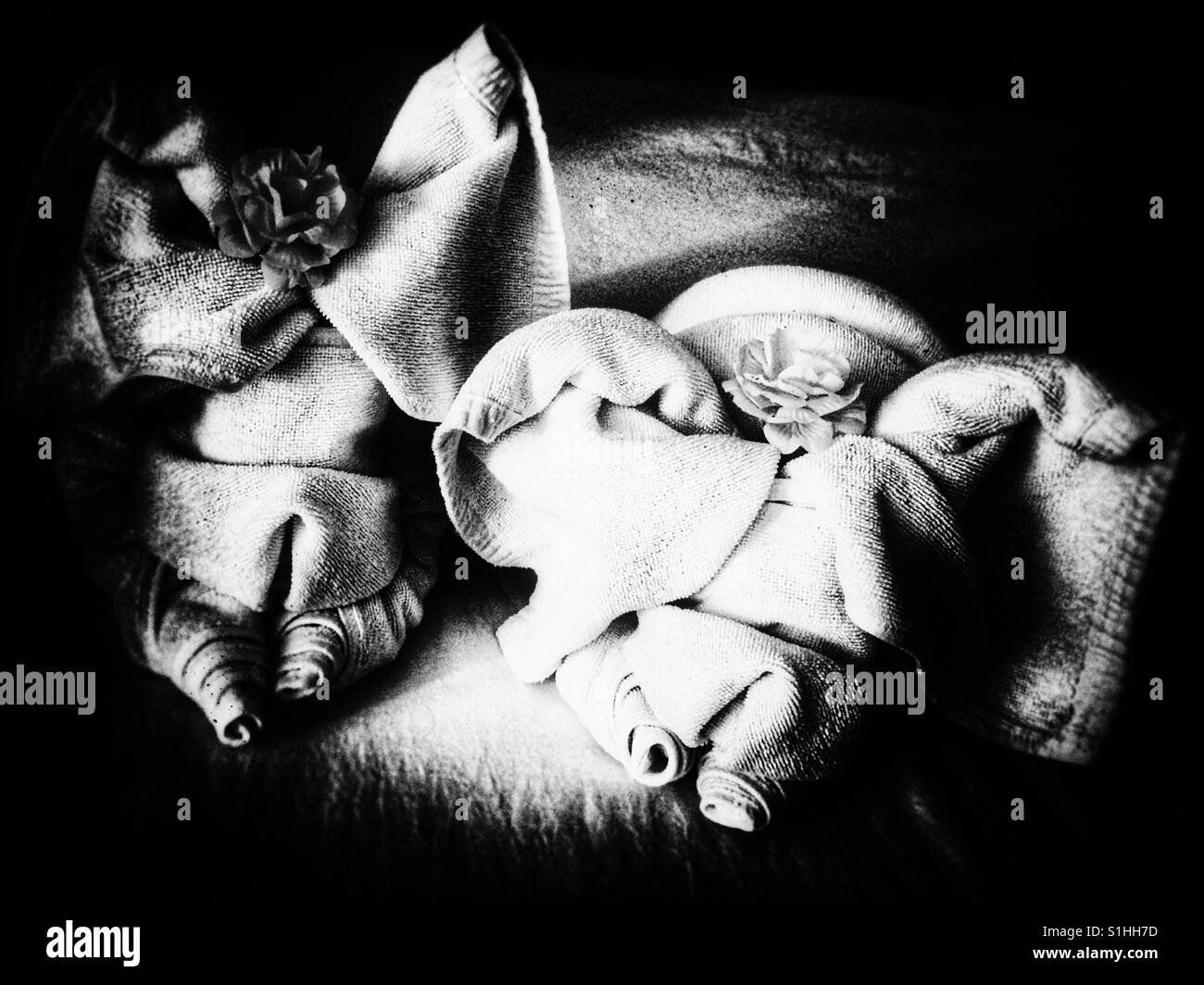 Towels made up on arrival at my Mae Hong Son hotel in Thailand - Smartphone Captured Stock Image