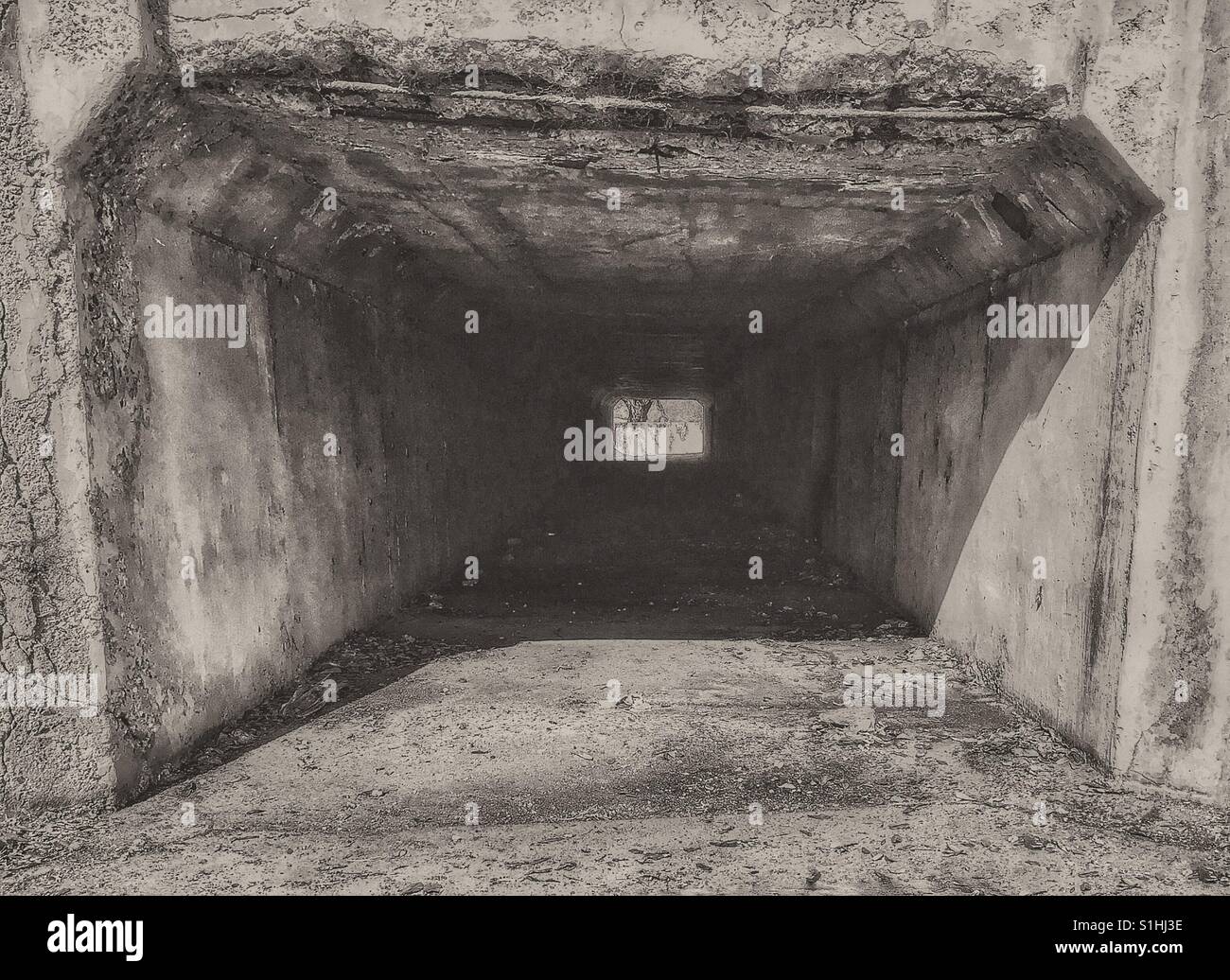 Concrete tunnel black and white Stock Photo Alamy