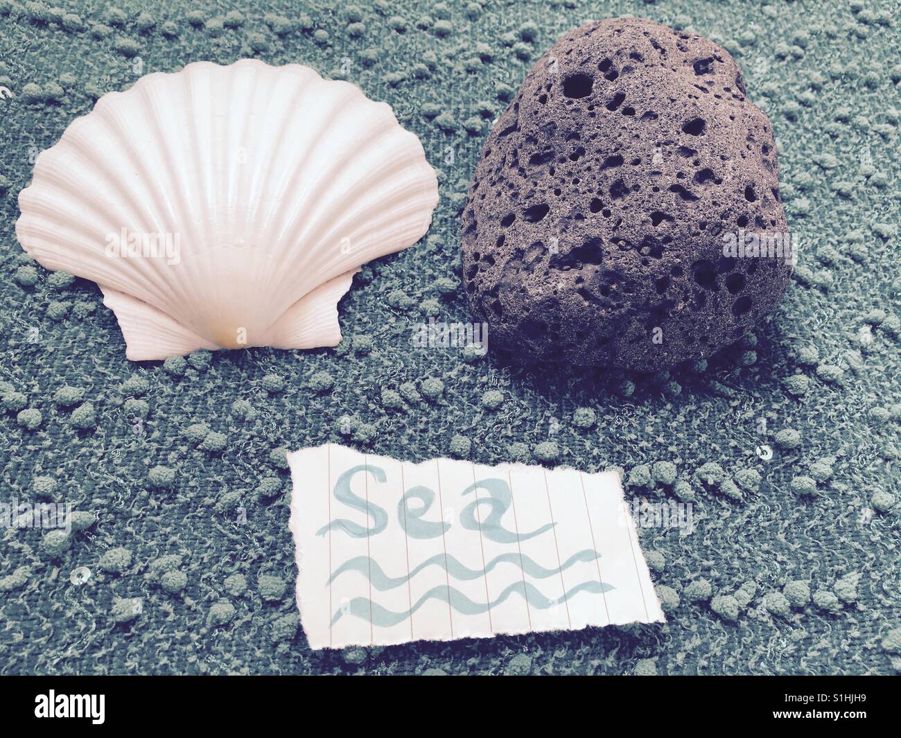 White scallop shell and black volcanic rock with sea and waves concept Stock Photo