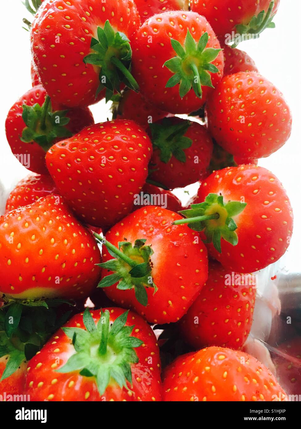 Bright red strawberries - Smartphone Captured Stock Image