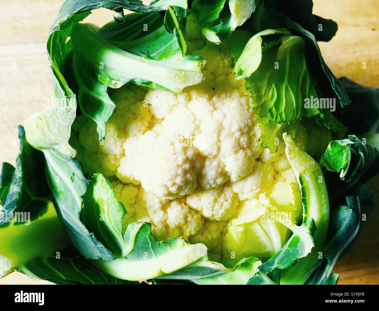 Cauliflower - Smartphone Captured Stock Image