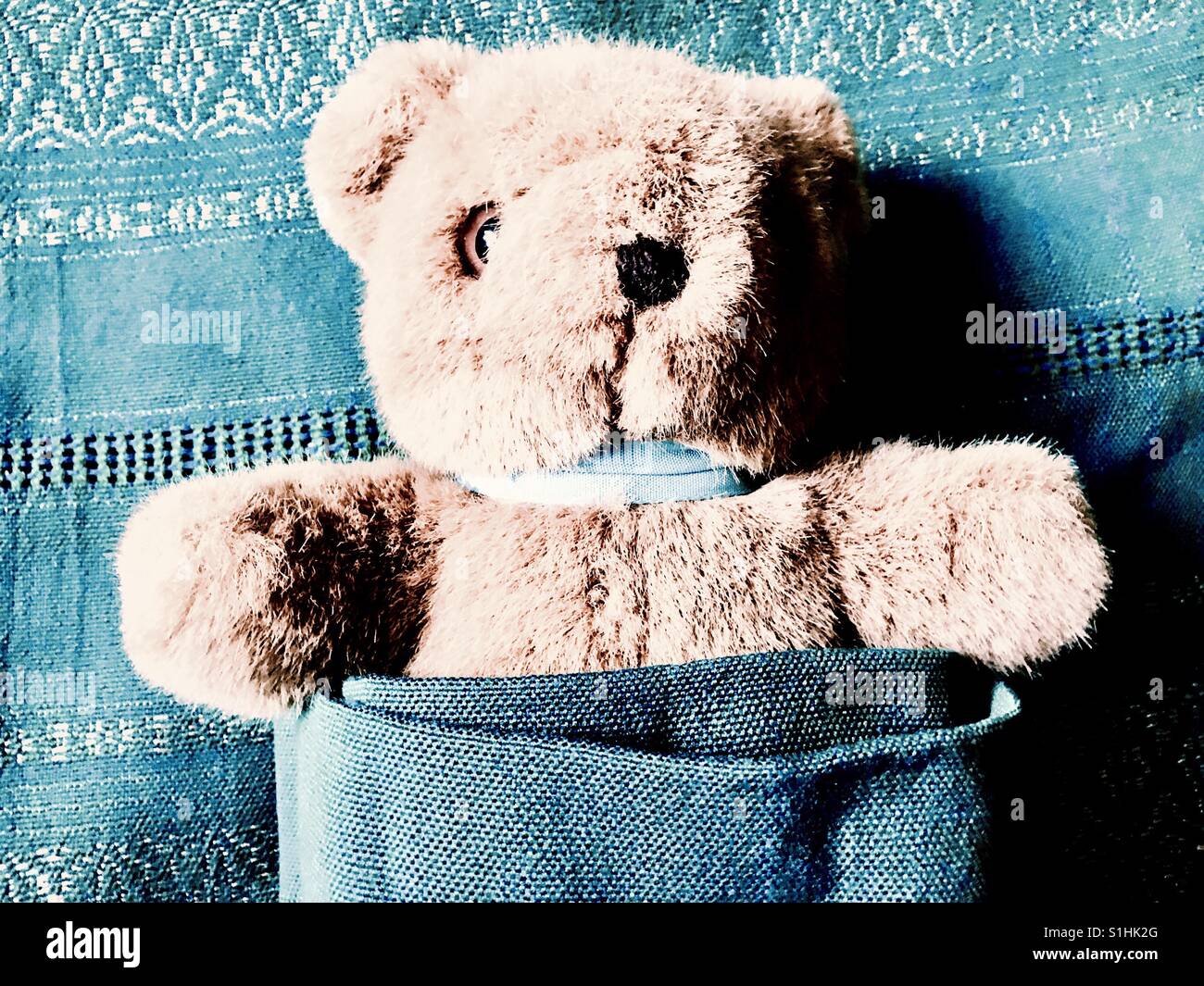 Teddy bear tucked in Stock Photo