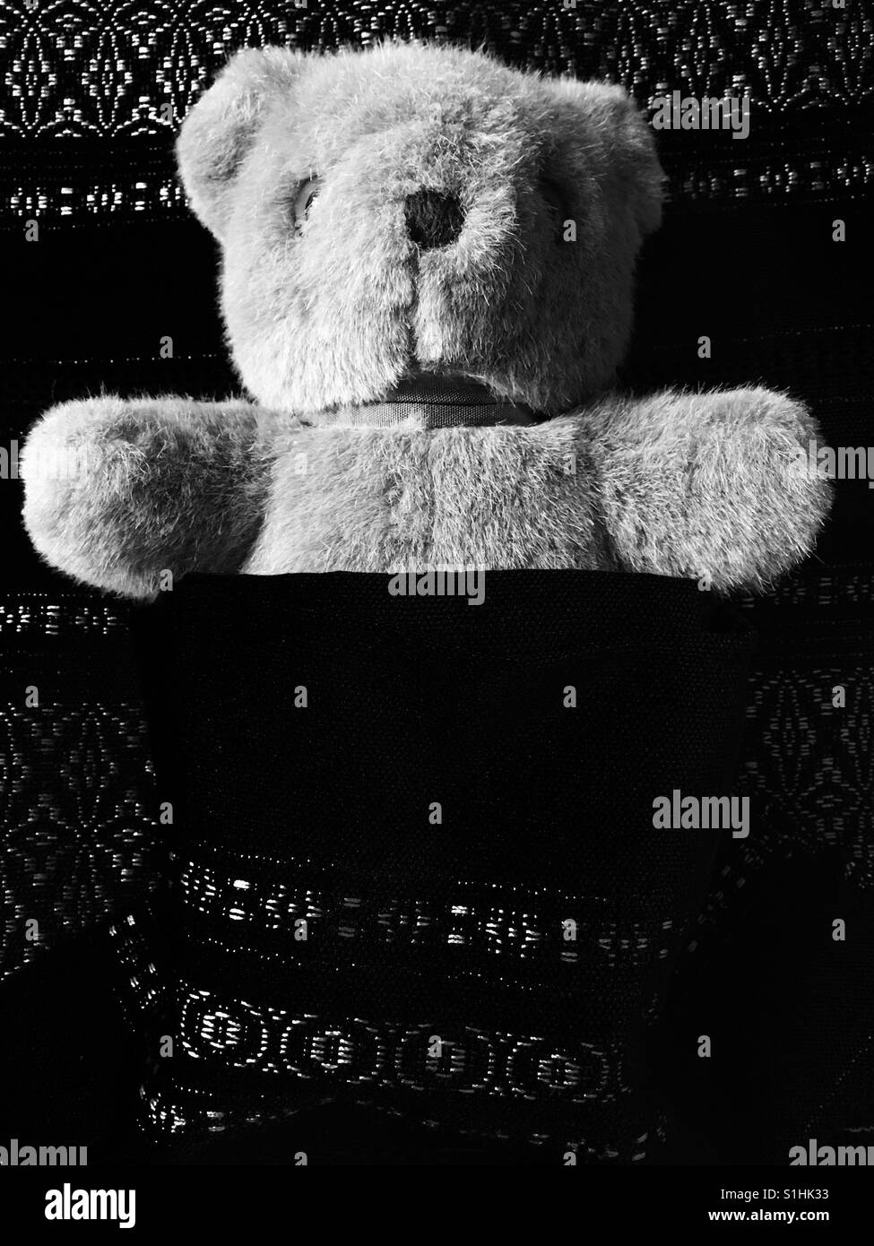 Teddy bear tucked in black and white Stock Photo