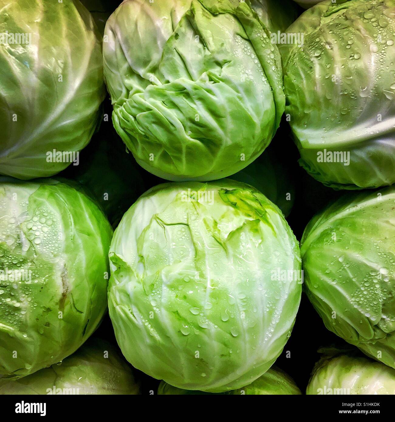 Heads of cabbage on display at a farmers market Stock Photo Alamy
